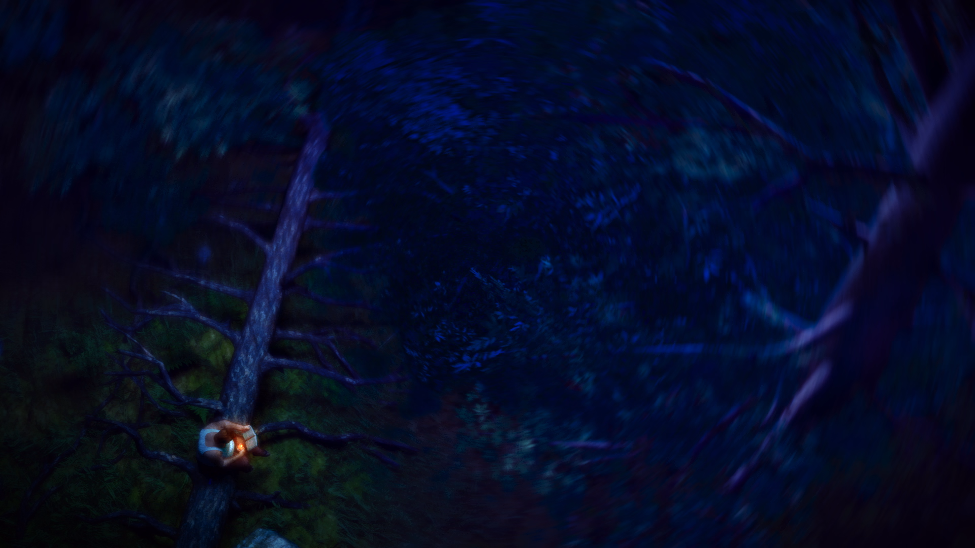4955091_render308_1.316.1