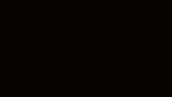 5350179_ss-3