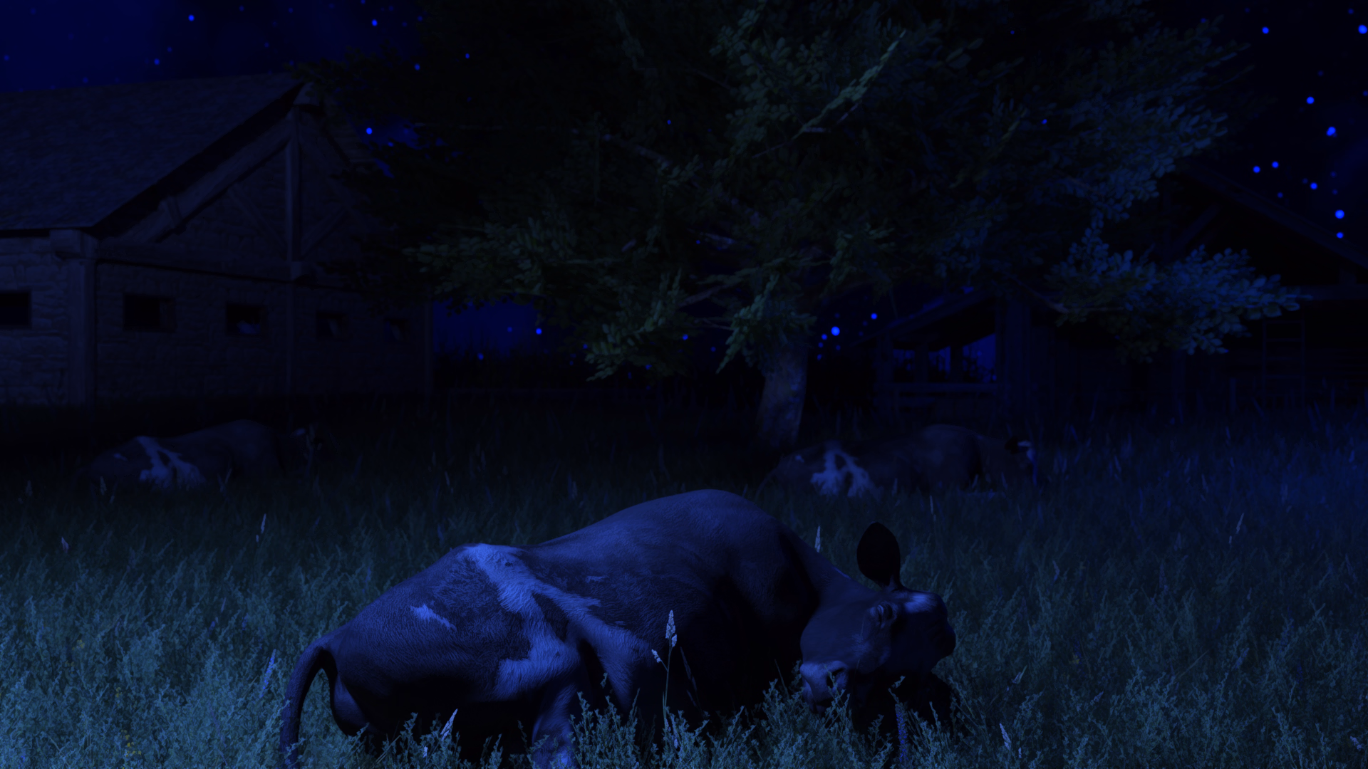 5490483_cow_barn_night